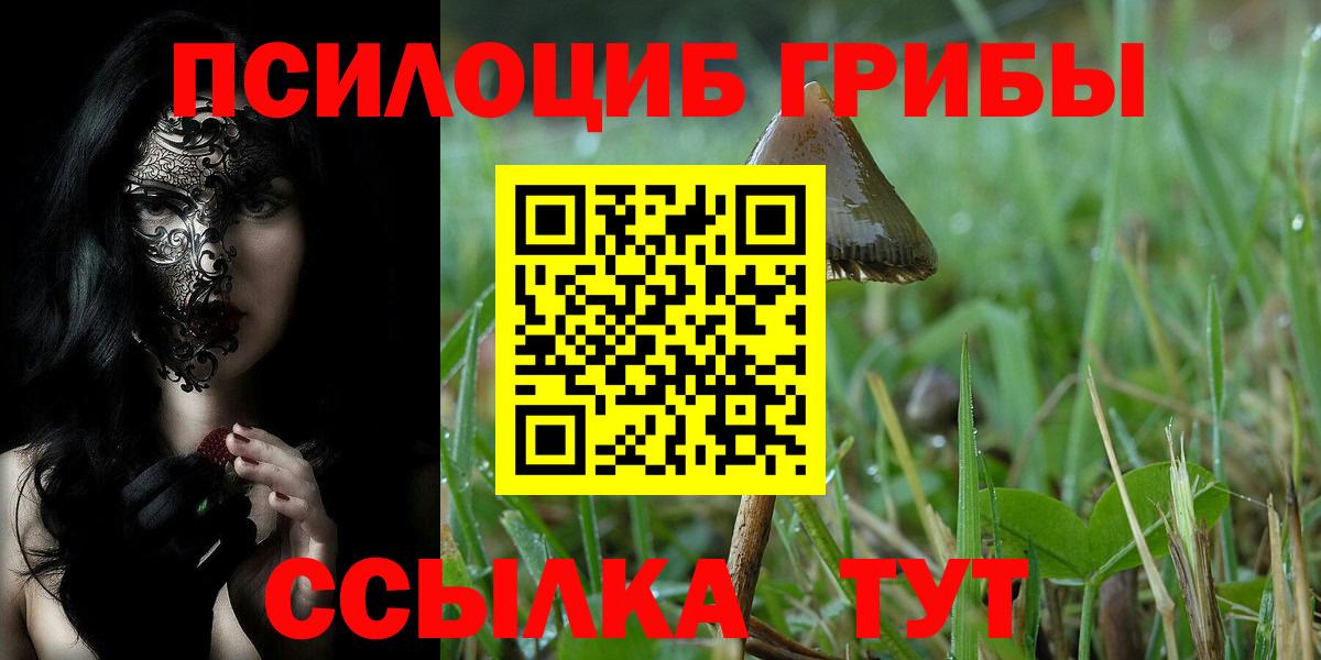 Галлюциногенные грибы GOLDEN TEACHER Серпухов