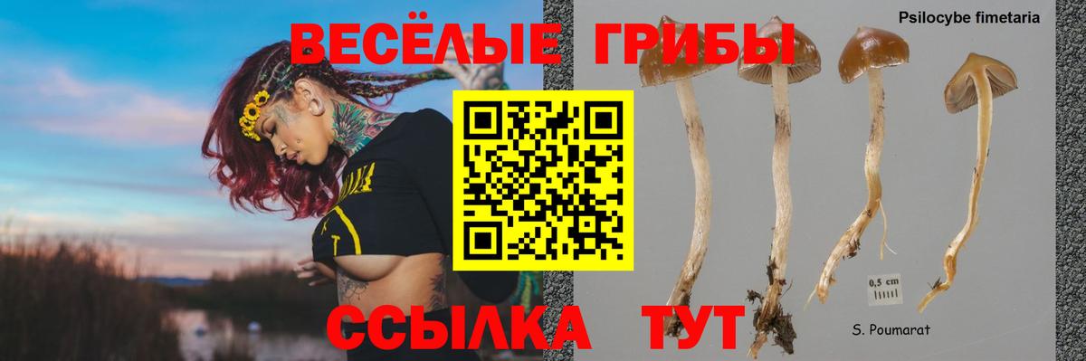 Галлюциногенные грибы Psilocybe  Вход с VPN  хочу   Серпухов 